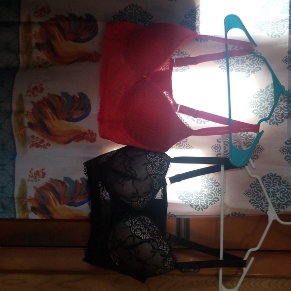 Lot of 2 38c corset bras, hush and daisy fuentes